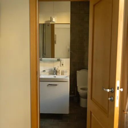 Old City Harmony Apartment 里加 外观 照片
